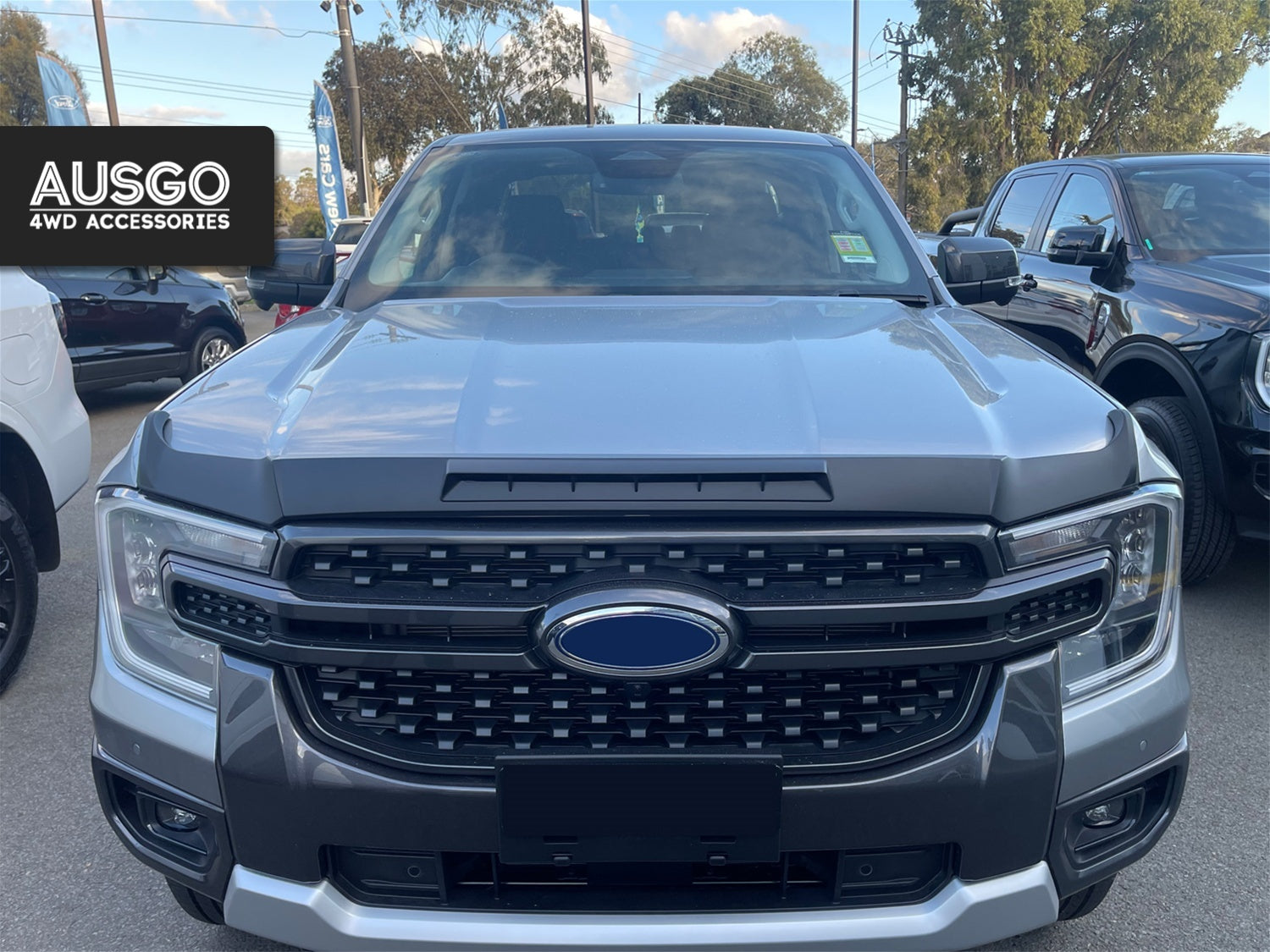 Front view of a grey Ford Everest with a black bonnet protector.